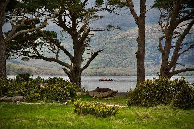 Day Tours & Sightseeing in Killarney, South West Ireland | Ultimate Travel Guide 2025