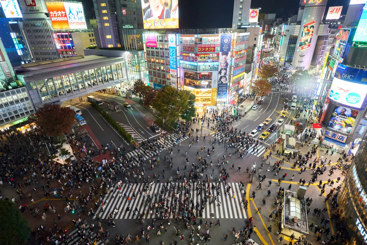 Tokyo, Japan: Ultimate Guide to Explore Culture, Neighborhoods & Highlights